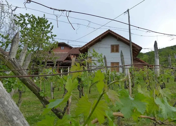 In - Kranjska Dragatuš